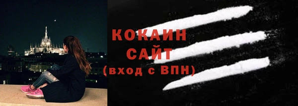 молекула духа Осинники