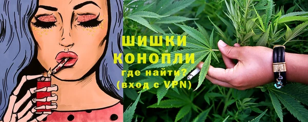 молекула духа Осинники