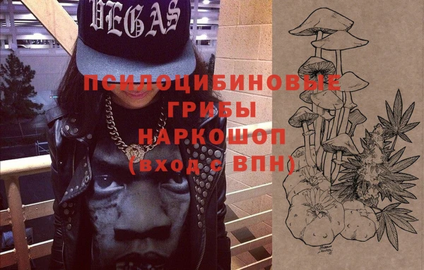 молекула духа Осинники
