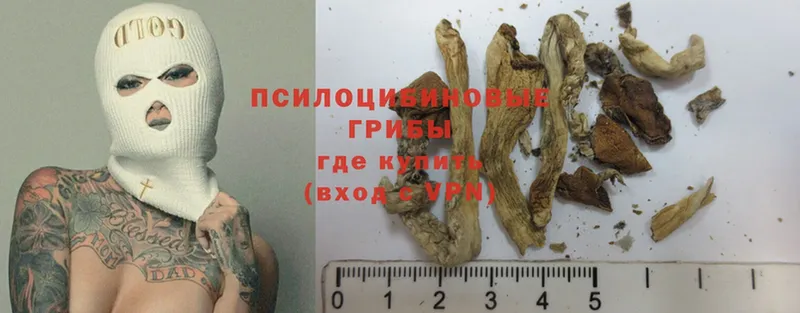 Галлюциногенные грибы ЛСД  цена наркотик  Бабаево 